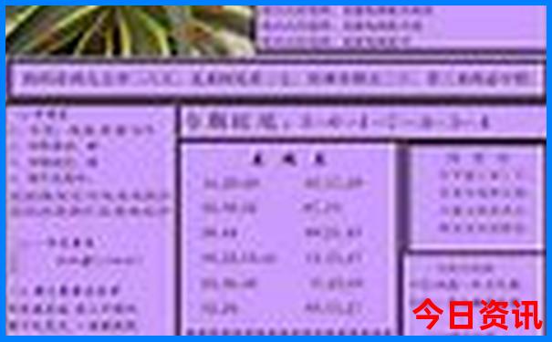 80岁老人怎样游黄山